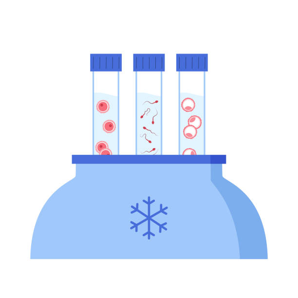 Embryo Freezing
