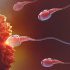 IVF Treatment