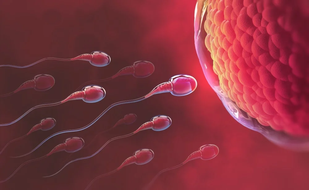 Male Infertility