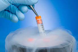 Semen Freezing